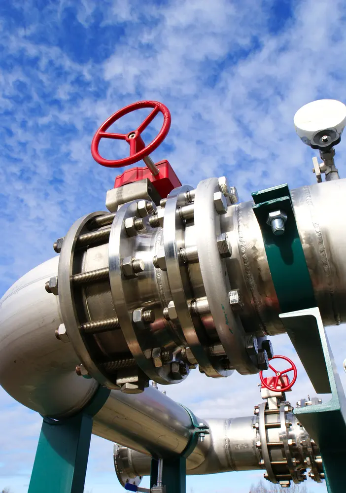 Valves, plug cocks and seals